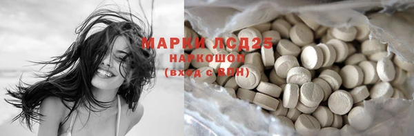 сатива Горно-Алтайск