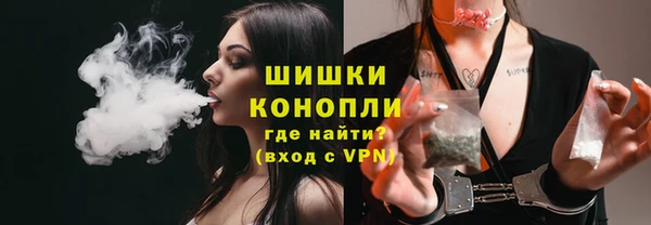 шишки Алексеевка