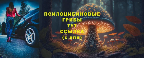 ПСИЛОЦИБИНОВЫЕ ГРИБЫ Алексин