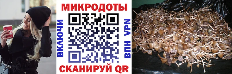 blacksprut ССЫЛКА  Рыбное  Псилоцибиновые грибы Magic Shrooms  где найти  